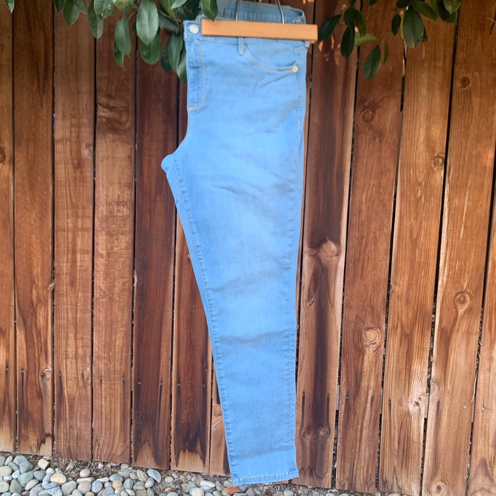 GAP the “True Skinny” Jean